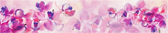 Cvety 0023