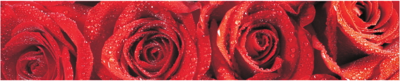 Cvety 0033