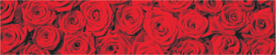 Cvety 0034