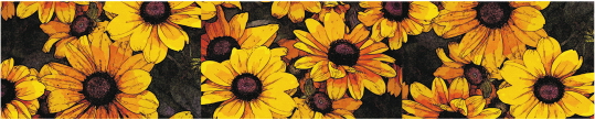 Cvety 0053