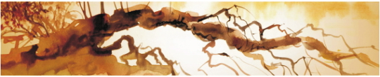 Grafika 0004