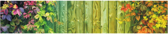 Priroda 0005