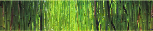 Priroda 0010