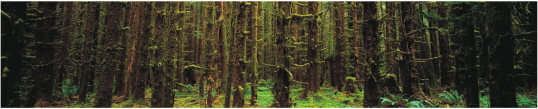 Priroda 0011