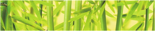 Priroda 0015