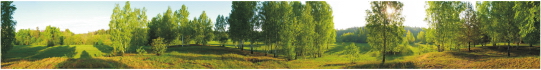 Priroda 0030