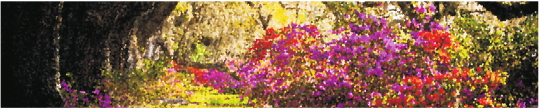 Priroda 0096