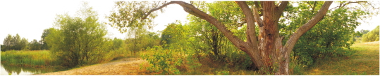 Priroda 0099