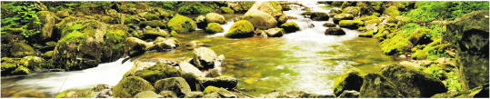 Priroda 0106