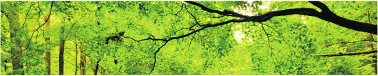 Priroda 0108