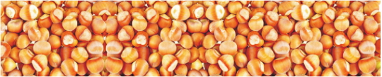 Produkty 0009