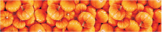 Produkty 0017