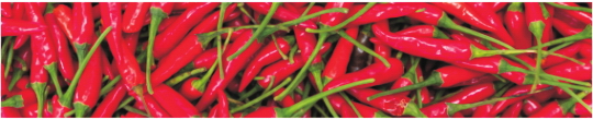 Produkty 0034