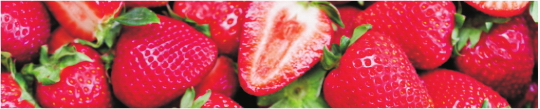 Produkty 0039