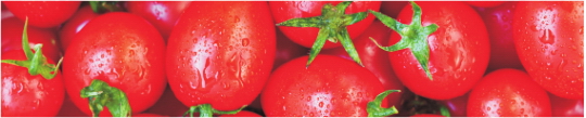 Produkty 0042