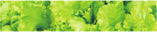 Produkty 0089