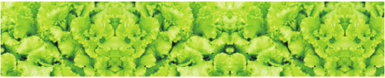 Produkty 0090