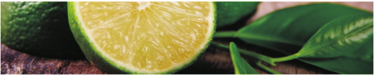 Produkty 0094