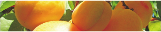 Produkty 0095