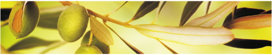 Produkty 0103
