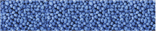 Produkty 0105