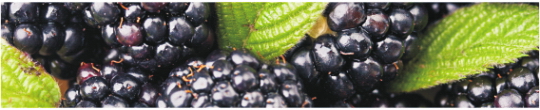 Produkty 0106
