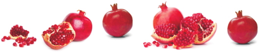 Produkty 0125