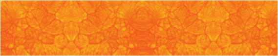 Texture 0024