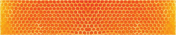 Texture 0025