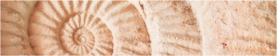 Texture 0034