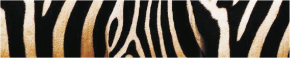 Texture 0035
