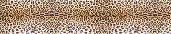 Texture 0040