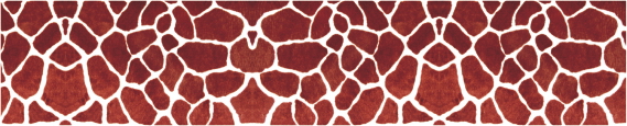 Texture 0041