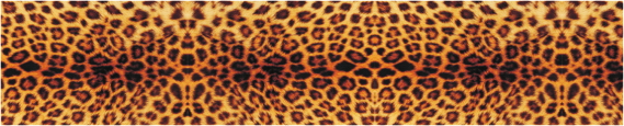 Texture 0042