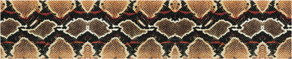 Texture 0043