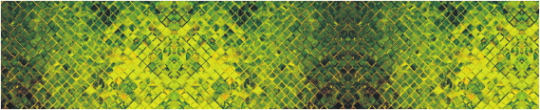 Texture 0094
