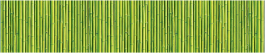 Texture 0095