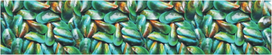 Texture 0101