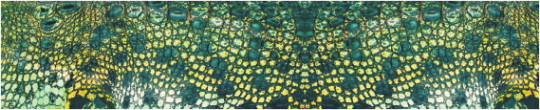 Texture 0102