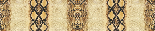 Texture 0119